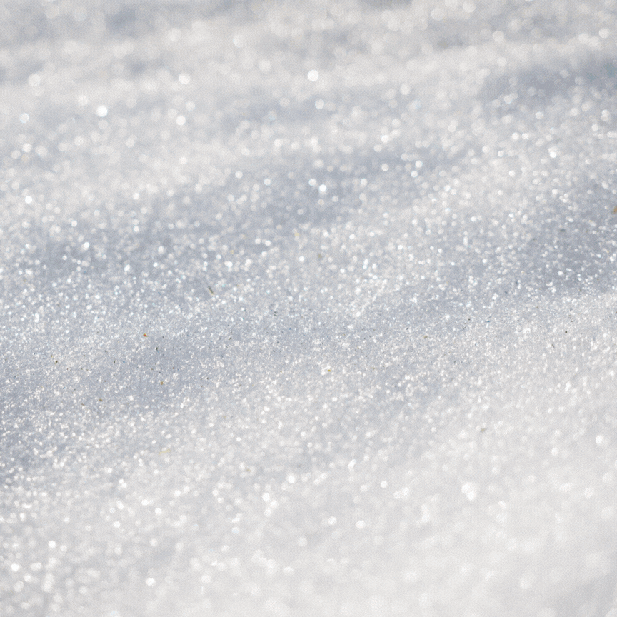 Right Image
